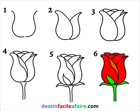 tuto pour dessiner une rose